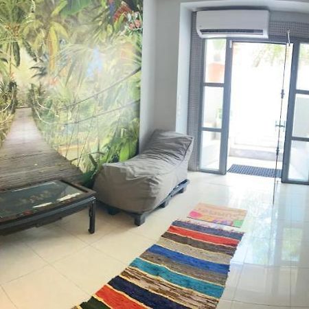 Αρέθουσα Jungle Τριάρι 65Τμ. Villa Chalkís Buitenkant foto